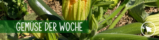 Gemüse der Woche