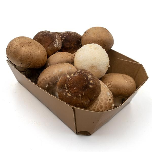 Produktfoto zu Pilze Mix 250g  Shiitake_Champignons_Steinchampignons