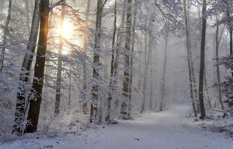 Monatsangebote Januar