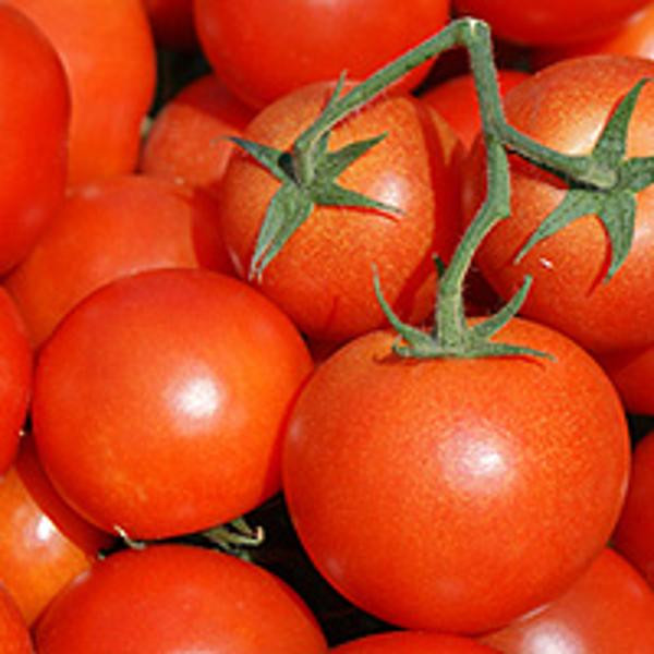 Produktfoto zu Strauchtomaten