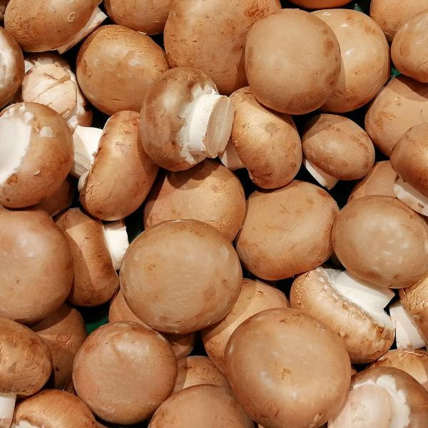 Produktfoto zu Steinchampignons