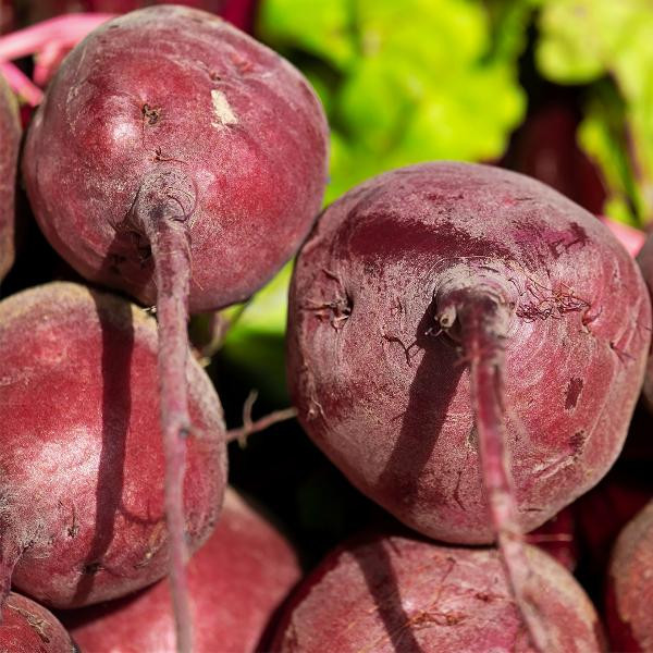 Produktfoto zu Rote Bete, lose