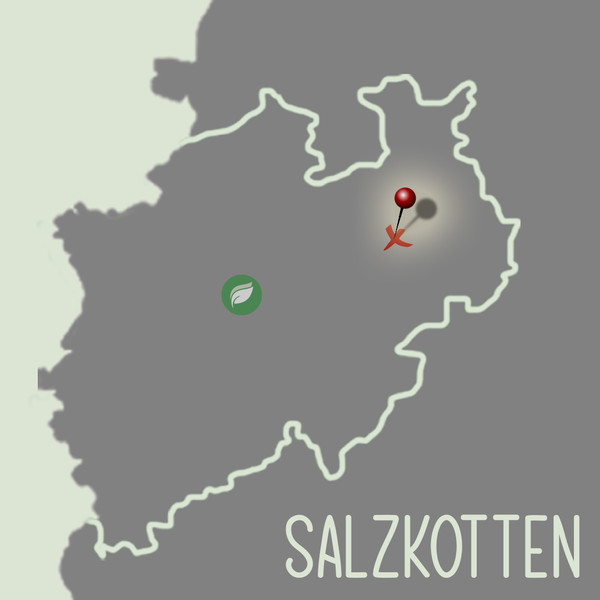 Salzkotten