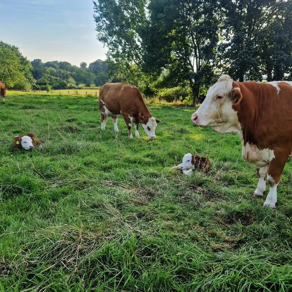 Produktfoto zu Betriebsbesichtigung Biohof Raffenberg am 20. April