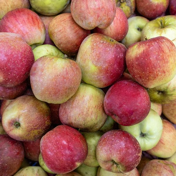 Produktfoto zu Apfel Florina