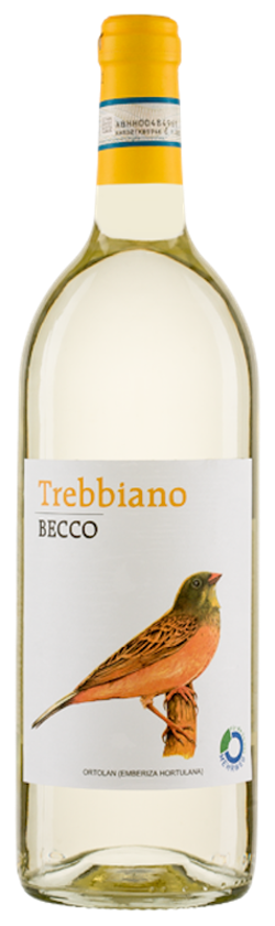 Produktfoto zu BECCO Trebbiano DOC 2022_2023