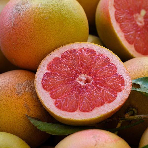 Produktfoto zu Grapefruit ca. 250g