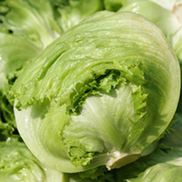 Produktfoto zu Eisbergsalat ca. 350g, unfoliert