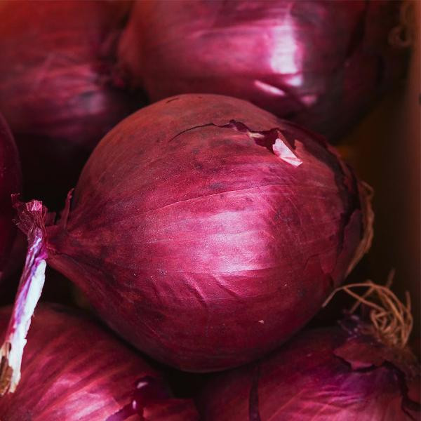 Produktfoto zu Zwiebeln rot