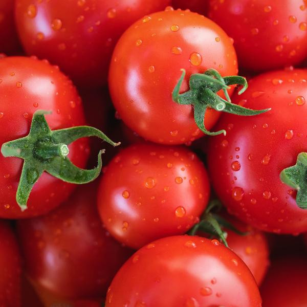 Produktfoto zu Tomaten