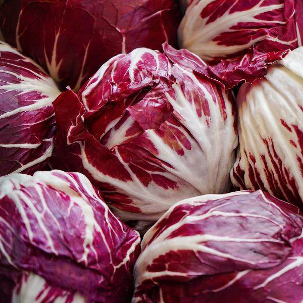 Produktfoto zu Radicchio