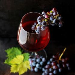 Produktfoto zu Hier finden Sie den passenden Rotwein!