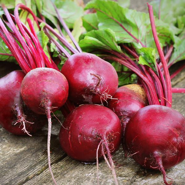 Produktfoto zu Rote Bete, im Bund