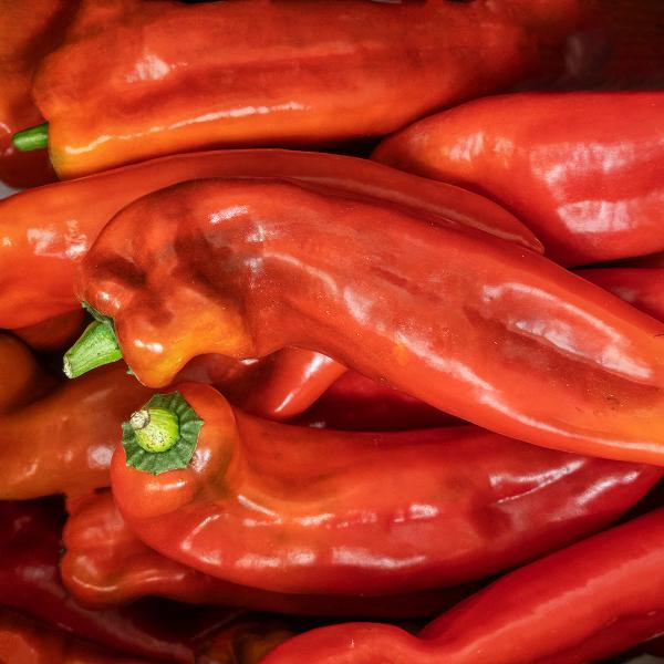 Produktfoto zu Spitzpaprika Ramiro rot