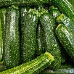 Produktfoto zu Zucchini grün