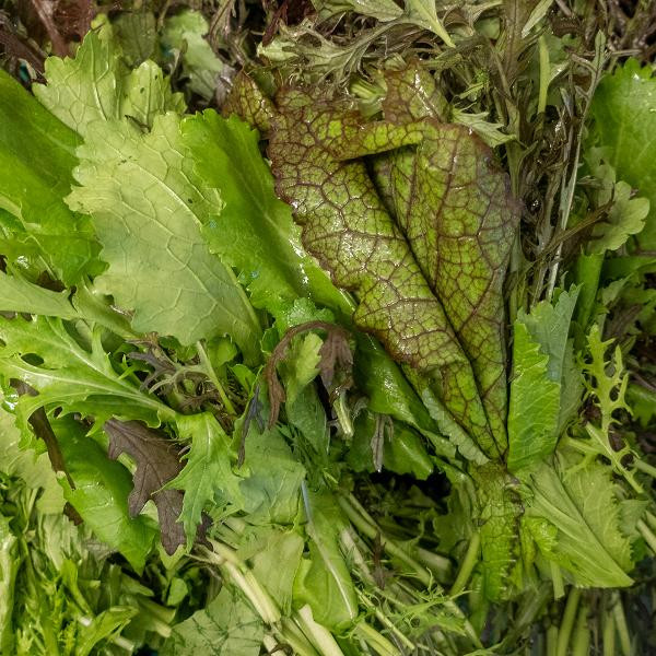 Produktfoto zu Asia-Salat